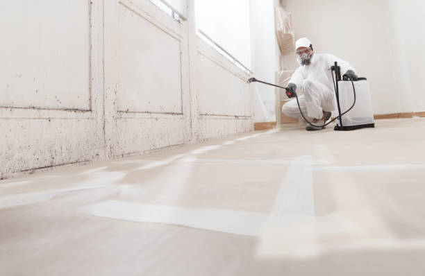 24/7 Emergency Attic Mold Remediation experts in Decatur, GA